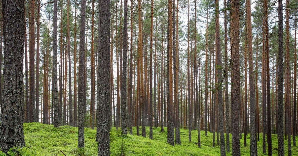 Marketing para Cardiólogos en México: Estrategias Éticas para el Cuidado del Corazón