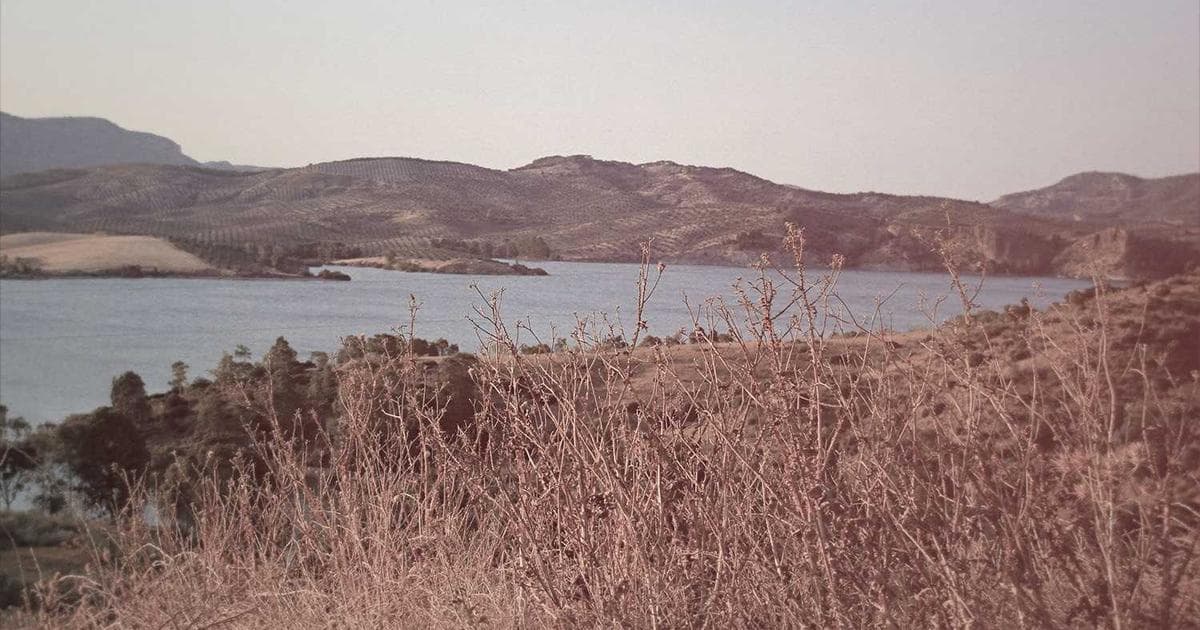 Cómo Conseguir Pacientes Online para Cardiología en México