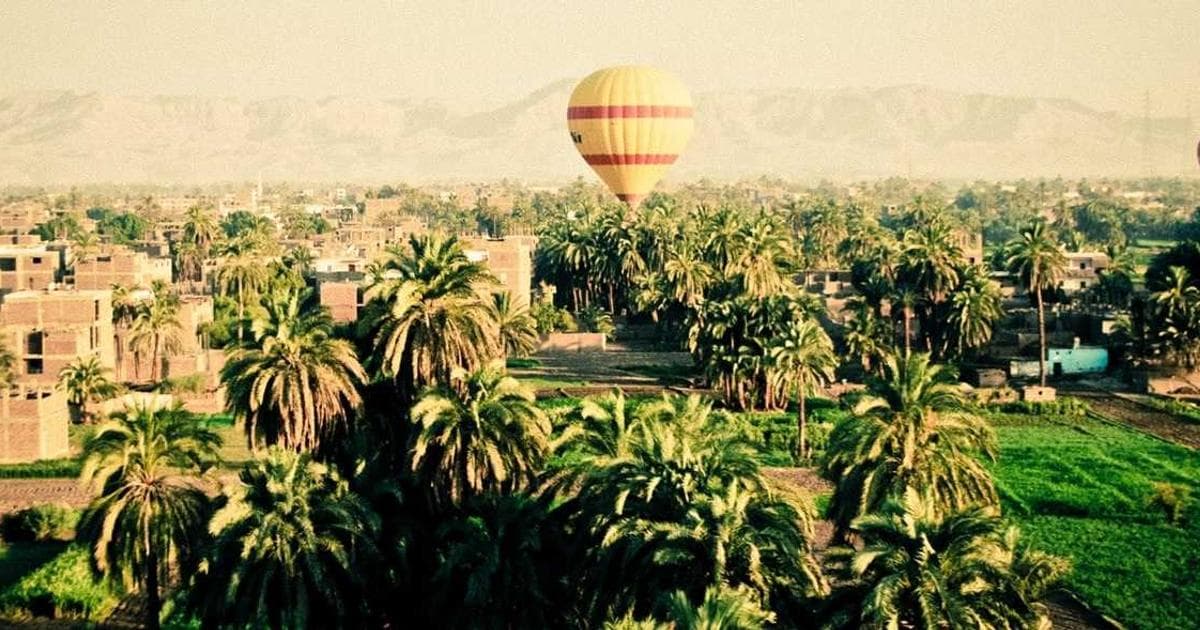 Cómo Conseguir Pacientes Online para Endocrinología en México