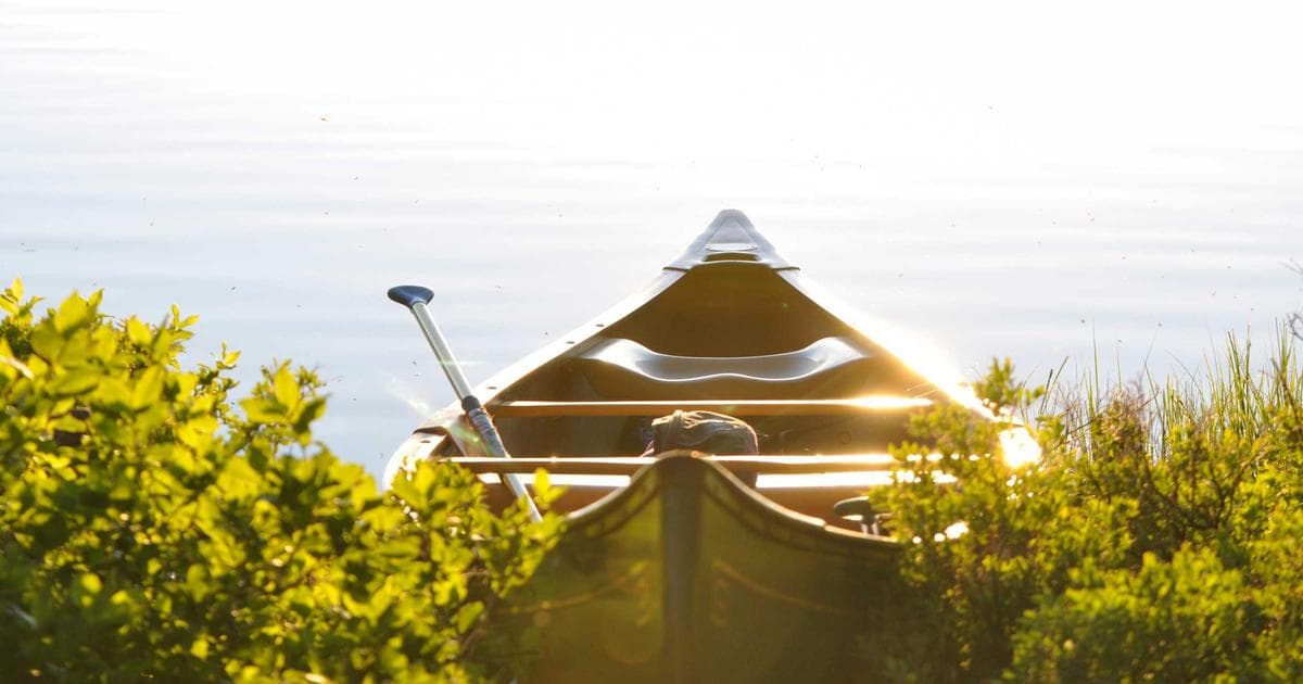 Marketing para Pediatras en México: Estrategias Éticas para la Salud Infantil