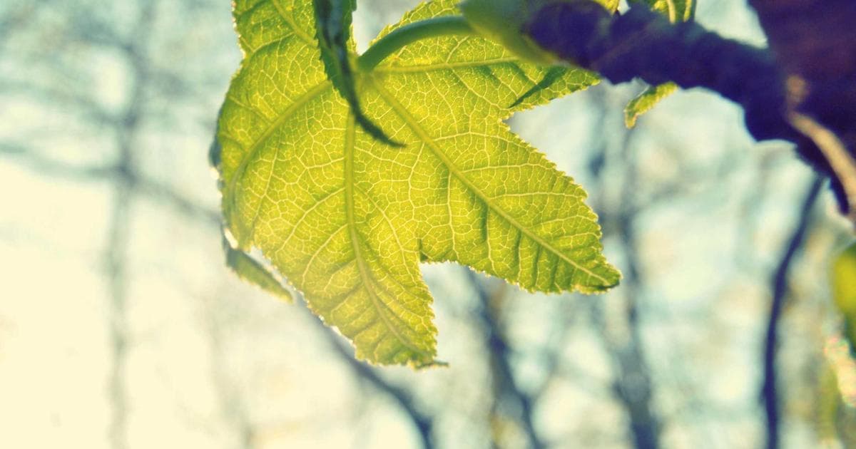 Marketing para Urólogos en México: Estrategias Éticas para Atraer Pacientes